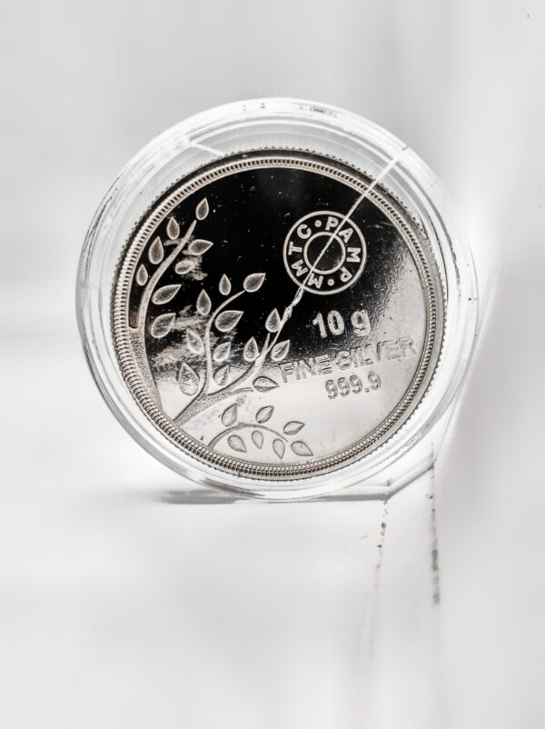 SILVER CION