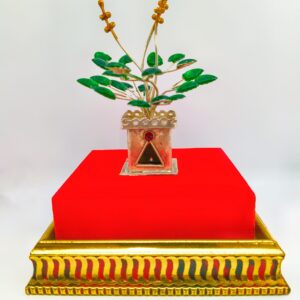 Silver Tulsi Paudha